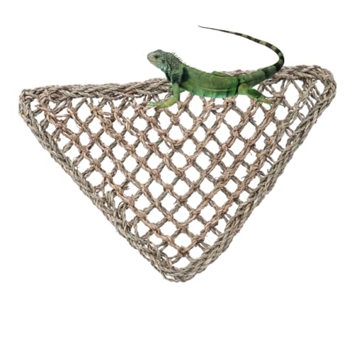 minkissy 2st Eidechsen Hängematte Aus Grasfasern Tierkäfig Zum Aufhängen Etagenkäfig Für Haustiere Rattan Doppelter Käfig minkissy 2st Eidechsen Hängematte Aus Grasfasern Tierkäfig Zum Aufhängen Etagenkäfig Für Haustiere Rattan Doppelter Käfig von minkissy