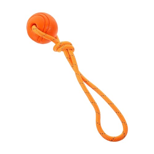 minkissy 2 Stücke Pet Kauen Tragbare Hund Spielzeug Hund Versorgung Kauen Spielzeug Für Hunde Molaren minkissy 2 Stücke Pet Kauen Tragbare Hund Spielzeug Hund Versorgung Kauen Spielzeug Für Hunde Molaren von minkissy