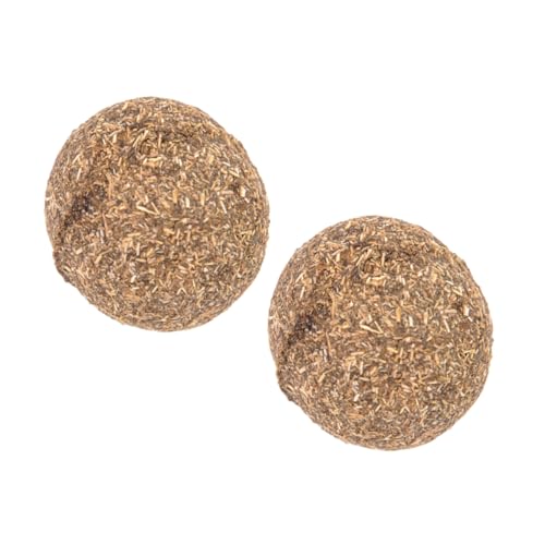 minkissy 2st Spielzeuge Kauspielzeug Katze-Minze-Kugeln Katzenminze Ball Spielzeug Katzenminze Kugel Spielzeug Für Haustiere Kauen Snack von minkissy