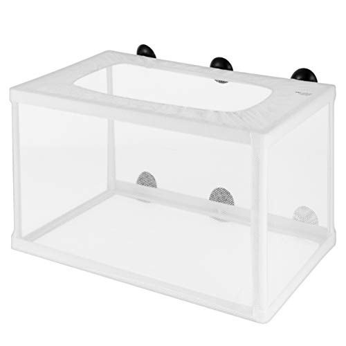 minkissy Aquarium Inkubator Net 2 Stücke Große Größe Zucht Box Mit Tasse Aquarium Trennung Werkzeug minkissy Aquarium Inkubator Net 2 Stücke Große Größe Zucht Box Mit Tasse Aquarium Trennung Werkzeug von minkissy