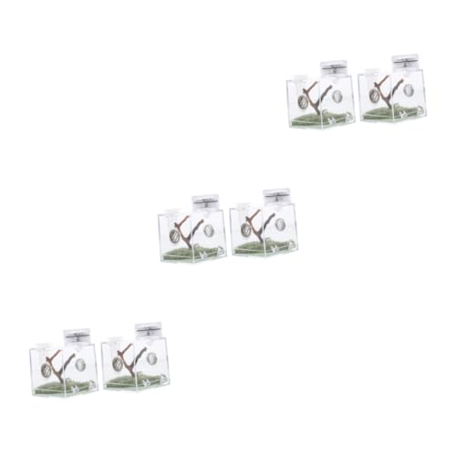 minkissy 3 Stück Box Springspinne Zuchtbox Reptilien-Terrarium Mikro-Habitat Terrarien Spinne Terrarium Transparent Reptilienkäfig Schneckenlebensraum Acryl Holz Zuchtbecken Kleine Spinne von minkissy