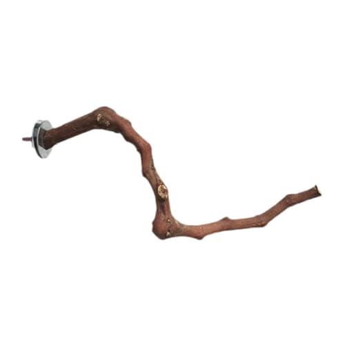 minkissy 3 Stück Vogel Split Stick Papagei Barsch Vogelkäfig Holzständer Tischzubehör Papagei Zweig Ständer Holz Ständer Spielzeug Desktop Zubehör Papagei Holz Zweig Halterung Traubenholz Holz minkissy 3 Stück Vogel Split Stick Papagei Barsch Vogelkäfig Holzständer Tischzubehör Papagei Zweig Ständer Holz Ständer Spielzeug Desktop Zubehör Papagei Holz Zweig Halterung Traubenholz Holz von minkissy
