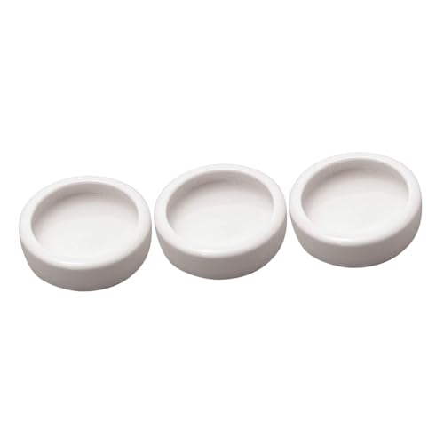minkissy 3 stücke Gecko Food Cups Reptisoil Reptile Water Dish Shrimp Feed Dish Mealworms Ceramic Reptile Water Bowl Schildkröte Water Dish Keramik Food Round Dishes Stone Tools Maned Lion White von minkissy