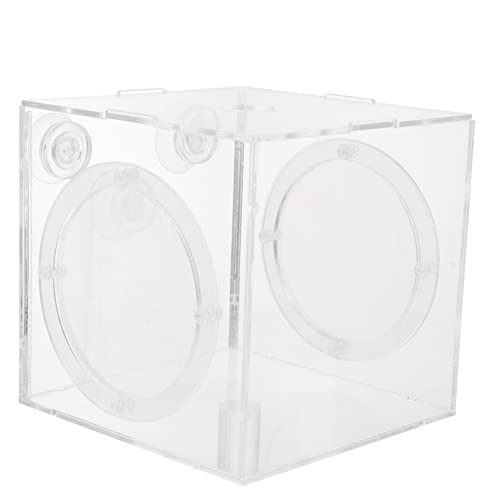 minkissy 3er-Box Isolationsbox Für Aquarien Betta-Aquarium Behälter Für Die Fischzucht Einsteiger-Aquarium Isoliertes Aufzuchtbecken Fischzuchtbecken Kleines Fischbecken Acryl Pflanze von minkissy