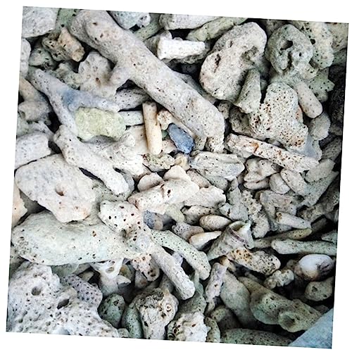 minkissy 3St Korallenornament Fischglas Teichkanister Wasserspülfilter Filter für Aquarien Sieb Praktisches Filtermaterial Korallenstein Filterkugel Aquarium Korallen Sand minkissy 3St Korallenornament Fischglas Teichkanister Wasserspülfilter Filter für Aquarien Sieb Praktisches Filtermaterial Korallenstein Filterkugel Aquarium Korallen Sand von minkissy