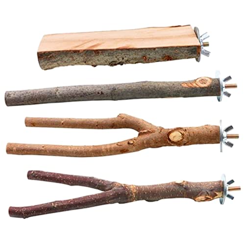 minkissy 4 stücke Plattform Baum Zweig Ständer Bar Papagei Barsch Papagei Ständer Sittich Holz Spielset Vogelkäfig Zubehör Vogel Barsch Vogel Kralle Schleifen Stick Vogelkäfig Rod Spielzeug von minkissy