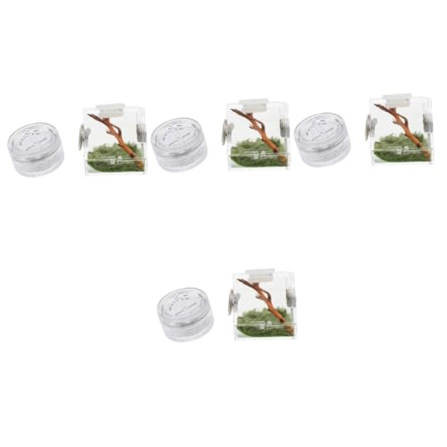 minkissy 4pcs Box Springspinne Zuchtbox Aquarium Zuchtbehälter Mikrohabitat Terrarien Spinnen Träger Spinne Micro Habitat Spinne Wohnraum kleine Spinne Holz Luftbefeuchter Mini von minkissy