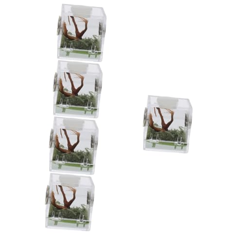 minkissy 5 Stücke Box Fütterung Fall Acryl Spinne Schlüpfen Container Spinne Gehäuse Box Reptil Fütterung Box Leichte von minkissy