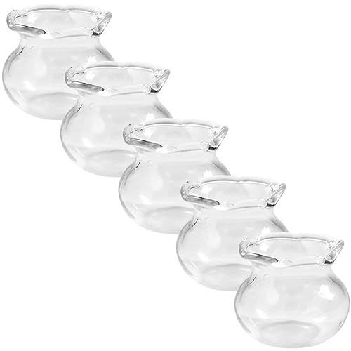minkissy 5stücke Miniatur Fischtank Miniature Aquarium Dekoration Für Kreative Spielzeuge Vorstellungskraft Und Geschicklichkeit minkissy 5stücke Miniatur Fischtank Miniature Aquarium Dekoration Für Kreative Spielzeuge Vorstellungskraft Und Geschicklichkeit von minkissy