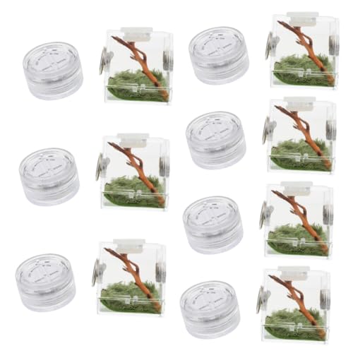 minkissy 7 stücke Box Springen Spinne Zucht Box Acryl Spinnen Käfig Springen Spinne Käfig Spinne Landschaft Käfig Spinne Haus Klar Container Spinne Lebensraum Kleine Spinne Holz Luftbefeuchter von minkissy