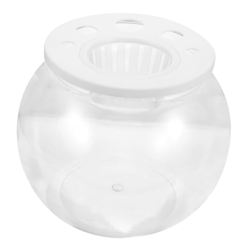 minkissy Fischglas Aus Glas Terrarium Kugel Desktop-Aquarium Kleines Aquarium Tragbares Aquarium Goldfischbecken Kleines Fischbecken Schildkrötenbecken Ornamente Plastik Grüne Pflanzen Büro minkissy Fischglas Aus Glas Terrarium Kugel Desktop-Aquarium Kleines Aquarium Tragbares Aquarium Goldfischbecken Kleines Fischbecken Schildkrötenbecken Ornamente Plastik Grüne Pflanzen Büro von minkissy