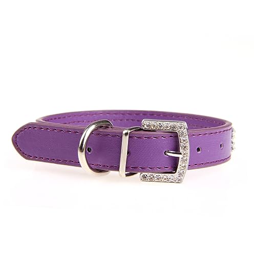minkissy Dropshipping Verstellbares Haustierhalsband Halsband Für Kleine Hunde Haustierzubehör Einstellbar Strass Halsband Haustier Hundehalsband Violett Strasssteine Schmücken minkissy Dropshipping Verstellbares Haustierhalsband Halsband Für Kleine Hunde Haustierzubehör Einstellbar Strass Halsband Haustier Hundehalsband Violett Strasssteine Schmücken von minkissy