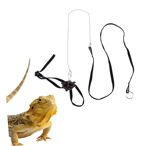 minkissy Reptilien-zubehör-Set Eidechsenleine Haustier Perfekt Für Schildkrötenbecken Mit Bügel Zum Schnellen Anbringen minkissy Reptilien-zubehör-Set Eidechsenleine Haustier Perfekt Für Schildkrötenbecken Mit Bügel Zum Schnellen Anbringen von minkissy