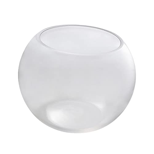 minkissy Fish Bowls for Betta Fish Glass Bowl Ecological Fish Bowl Round Planter Globe Fish Bowl Glasses for Drinks Clear Plant Pot Terrarium Glass Aquariums Fish Tank Wine Glass minkissy Fish Bowls for Betta Fish Glass Bowl Ecological Fish Bowl Round Planter Globe Fish Bowl Glasses for Drinks Clear Plant Pot Terrarium Glass Aquariums Fish Tank Wine Glass von minkissy