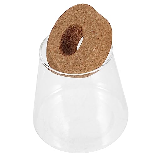 minkissy Glas-terrarium Für Wasserpflanzen Und Fische Transparentes Mikrolandschaft-behälter-design Für Wohnräume Vielseitig Einsetzbar Als Blumenvase Dekoration Leicht Zu Reinigen Und von minkissy