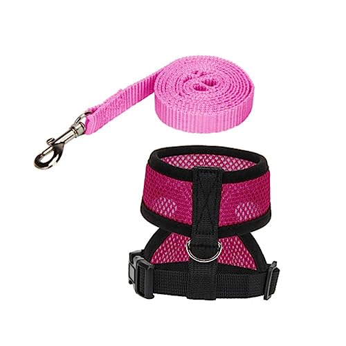 minkissy Hahn Leinen Gurt Leine Für Laufhühner Hühnerleinengeschirr Welpenleine Hühnergeschirr Und Leine Kein Hundegeschirr Henne Weste Gürtel Hahn Weste Segeltuch Haustier Canvas-gürtel minkissy Hahn Leinen Gurt Leine Für Laufhühner Hühnerleinengeschirr Welpenleine Hühnergeschirr Und Leine Kein Hundegeschirr Henne Weste Gürtel Hahn Weste Segeltuch Haustier Canvas-gürtel von minkissy