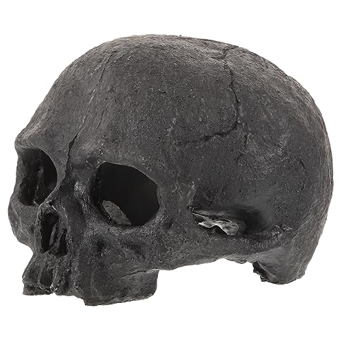 minkissy Halloween-Dekorationen, simulierter -Ornament, -Figur für Reptilien, Schädel, Garnelen, Versteck Garnelen, Schutz, Aquarium, , Ornament, Fischversteck, , minkissy Halloween-Dekorationen, simulierter -Ornament, -Figur für Reptilien, Schädel, Garnelen, Versteck Garnelen, Schutz, Aquarium, , Ornament, Fischversteck, , von minkissy