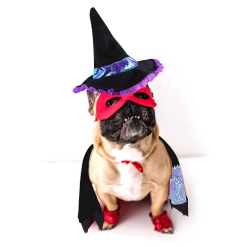 minkissy Halloween-Kostü für Haustiere Hunde-Body-Anzug Welpen-Halloween-Pullover Hundemütze Kätzchen Kleidung Haustieranzug Haustierzubehör modisch Verwandlungs-Outfit Baumwolle Violett minkissy Halloween-Kostü für Haustiere Hunde-Body-Anzug Welpen-Halloween-Pullover Hundemütze Kätzchen Kleidung Haustieranzug Haustierzubehör modisch Verwandlungs-Outfit Baumwolle Violett von minkissy