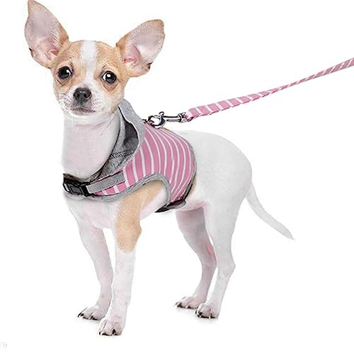 minkissy Haustier-Pullover Brustgurt Für Hunde Hundemäntel Kleider Hundegeschirr Und Leine Katzenleine Warnweste Katzenkleidung Nur Für Katzen Gehen Reine Baumwolle Sommer Haustierzubehör minkissy Haustier-Pullover Brustgurt Für Hunde Hundemäntel Kleider Hundegeschirr Und Leine Katzenleine Warnweste Katzenkleidung Nur Für Katzen Gehen Reine Baumwolle Sommer Haustierzubehör von minkissy