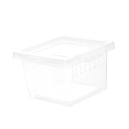 minkissy Kasten Aufzuchtbox Für Insekten Reptilienterrarien Zuchtbehälter Für Haustier-ausstellungsbox Schlangenzuchtbox Reptilien-Terrarium-Set Reptilienträger Bodenkäfig Füttern Plastik minkissy Kasten Aufzuchtbox Für Insekten Reptilienterrarien Zuchtbehälter Für Haustier-ausstellungsbox Schlangenzuchtbox Reptilien-Terrarium-Set Reptilienträger Bodenkäfig Füttern Plastik von minkissy