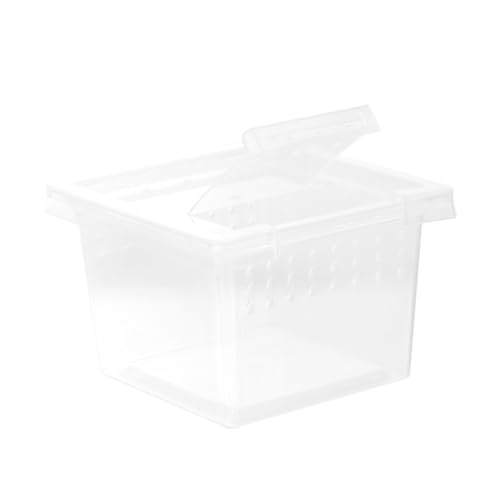 minkissy Kasten Aufzuchtbox Für Insekten Zuchtbehälter Für Reptilien Futterbox Für Reptilien Aus Kunststoff Zuchtbox Für Eidechsen Einsiedlerkrebsbecken Kleines Plastik Glas Schildkrötenbox von minkissy