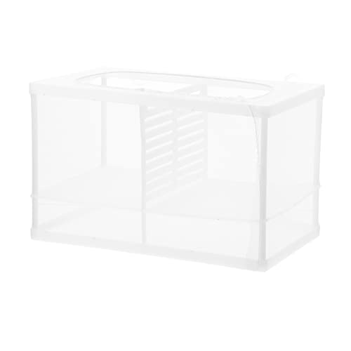 minkissy Kasten Betta-Box Zucht Inkubator Zuchtrohr Für Garnelen Garnelenschutz Aquarium Zuchtbecken Für Aquarien Trennplatten Kunststoff-trennwand Für Aquarien Guppys Abs Weiß von minkissy