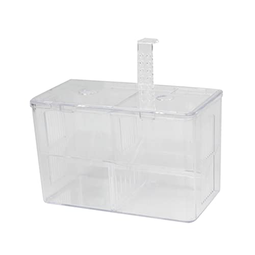 minkissy Kasten Fischgläser Fischnetz für Aquarien Eingewöhnungsnetz Aquarienfische Zuchtnetz Züchter Netz Züchternetz für Aquarien Aquarium Isolationsbox Kindergarten braten Baby Terrarium minkissy Kasten Fischgläser Fischnetz für Aquarien Eingewöhnungsnetz Aquarienfische Zuchtnetz Züchter Netz Züchternetz für Aquarien Aquarium Isolationsbox Kindergarten braten Baby Terrarium von minkissy