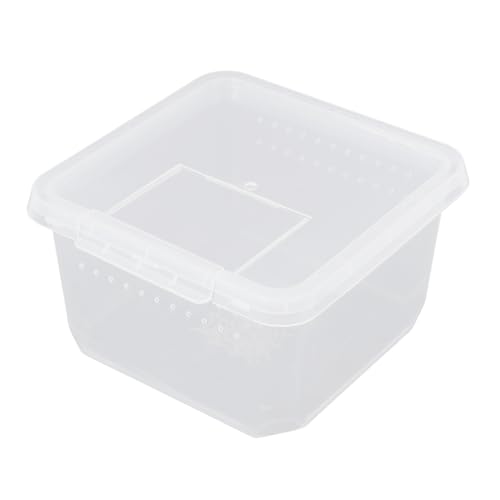 minkissy Kasten Futterbox für Reptilien Reptilienzubehör Mini-Insektenträger Reptilfall Futterbehälter für Reptilien Insektennest Mini-Reptilbehälter kriechen pp Fütterungsbox Muschelschale minkissy Kasten Futterbox für Reptilien Reptilienzubehör Mini-Insektenträger Reptilfall Futterbehälter für Reptilien Insektennest Mini-Reptilbehälter kriechen pp Fütterungsbox Muschelschale von minkissy