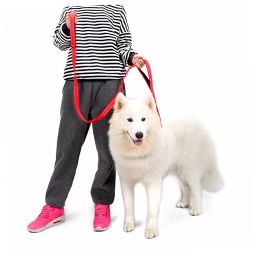 minkissy Keilriemen Trainingsleine Für Hunde Hundeleine Hundespaziergang Führt Haustier Mit Dem Hund Spazieren Gehen minkissy Keilriemen Trainingsleine Für Hunde Hundeleine Hundespaziergang Führt Haustier Mit Dem Hund Spazieren Gehen von minkissy