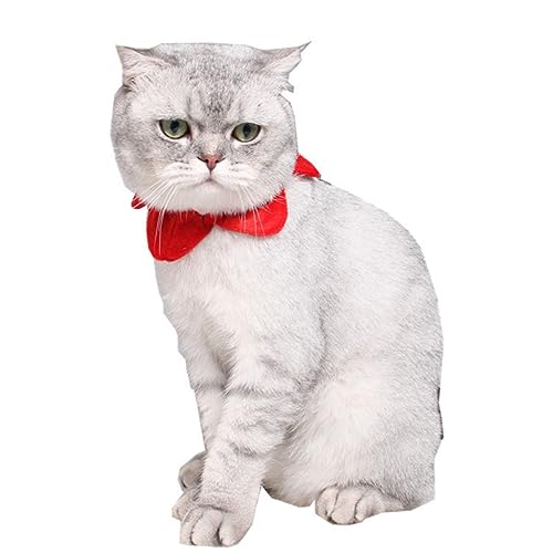 minkissy Kleider Kleidung Outfits Weihnachtskostüm Halskreis Der Katze Halskreis Für Haustiere Halskreis des Hundes Der Hund Halsband von minkissy