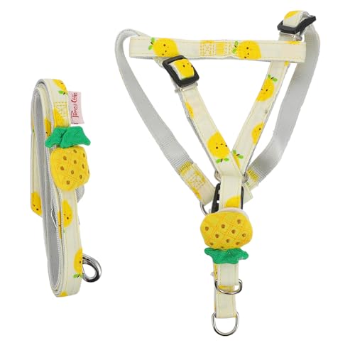 minkissy Hundeleine Mit Fruchtdruck Haustier-zugseil Reflektierende Leine Verstellbar Gelbe Ananas 1 5 cm Breit Hundezubehör von minkissy