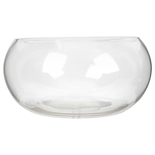 minkissy Transparente Glasfischschale Runde Fischschale Für Aquarien Und Pflanzen Stabil Und Dekorativ Für Heimdekoration Hochzeiten Und Büros minkissy Transparente Glasfischschale Runde Fischschale Für Aquarien Und Pflanzen Stabil Und Dekorativ Für Heimdekoration Hochzeiten Und Büros von minkissy
