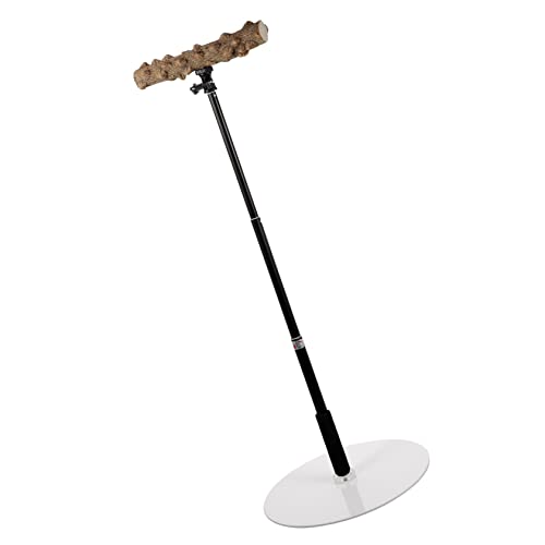 minkissy Vogel-spielsitzstange Ständer für Papageien Vögel Naturholz Metall Höhenverstellbar Stabile Basis Vogel-trainingsspielzeug minkissy Vogel-spielsitzstange Ständer für Papageien Vögel Naturholz Metall Höhenverstellbar Stabile Basis Vogel-trainingsspielzeug von minkissy