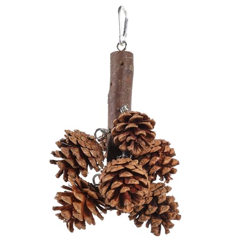 minkissy Papageienspielzeug Spielzeug Papagei Supplies Vogel Hängende Spielvögel Kauspielzeug Holz Vogel Spielzeug Hängendes Spielzeug Lustiges Vogelspielzeug Zartes Vogelspielzeug Sittich Spielzeug minkissy Papageienspielzeug Spielzeug Papagei Supplies Vogel Hängende Spielvögel Kauspielzeug Holz Vogel Spielzeug Hängendes Spielzeug Lustiges Vogelspielzeug Zartes Vogelspielzeug Sittich Spielzeug von minkissy