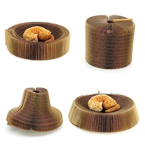 minkissy Pet Toys Faltbare Katzen-Stratcher Lounge Katze Sractching Lounge Zusammenklappbare Katze Kratzlounge Katzenkratzer Lounge Bite minkissy Pet Toys Faltbare Katzen-Stratcher Lounge Katze Sractching Lounge Zusammenklappbare Katze Kratzlounge Katzenkratzer Lounge Bite von minkissy