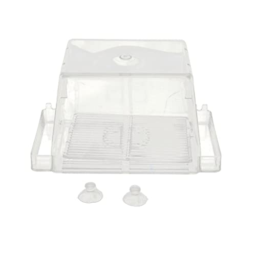 minkissy Saugnäpfe Saugnapf Aquarium minkissy Saugnäpfe Saugnapf Aquarium von minkissy