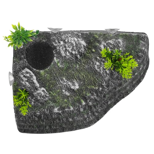 minkissy Schildkröten Sonnenplattform mit Kletterrampe Realistisches Aquarium für Reptilien Sicheres Habitat für Schildkröten und Eidechsen Geeignet für Zuhause und Tierhandlungen minkissy Schildkröten Sonnenplattform mit Kletterrampe Realistisches Aquarium für Reptilien Sicheres Habitat für Schildkröten und Eidechsen Geeignet für Zuhause und Tierhandlungen von minkissy