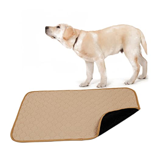minkissy Waschbare Hunde Und Katzen-urinunterlage wasserdichte Trainingsmatte Für Welpen Beige Für Haustierhygiene rutschfest Und Wiederverwendbar minkissy Waschbare Hunde Und Katzen-urinunterlage wasserdichte Trainingsmatte Für Welpen Beige Für Haustierhygiene rutschfest Und Wiederverwendbar von minkissy
