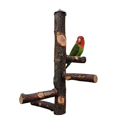 minkissy Spielzeug Papageienständer Trainingsstand Für Haustiere Vögel Spielen Stehen Vogel Stehen Bambus Massivholz Kinderkrankheiten von minkissy
