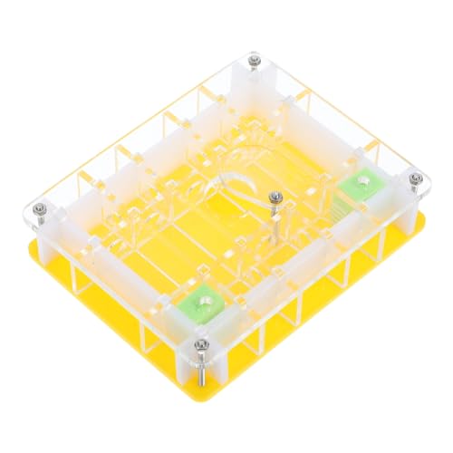 minkissy Transparentes Acryl Beobachtungsbox mit Ant Living Space Robustes Ant Case für Ökologische Ameisenzucht Pädagogisches Wissenschaftsspielzeug zur Ameisenbeobachtung und minkissy Transparentes Acryl Beobachtungsbox mit Ant Living Space Robustes Ant Case für Ökologische Ameisenzucht Pädagogisches Wissenschaftsspielzeug zur Ameisenbeobachtung und von minkissy