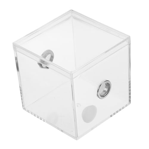 minkissy Transparentes Spinnen Terrarium Insekten Fütterungsbox Vielseitige Habitat Lösung für Verschiedene Insektenarten für und Außenbereiche Einfache und Pflege von minkissy