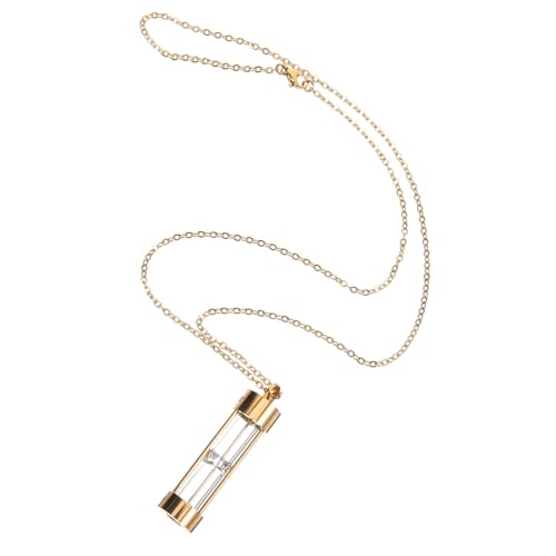 minkissy Urne Halskette Für Haustierasche Aus Edelstahl Und Glas Langlebiger Gedenkanhänger Leicht Polierte Oberfläche Für Erinnerungen An Hunde Und Katzen minkissy Urne Halskette Für Haustierasche Aus Edelstahl Und Glas Langlebiger Gedenkanhänger Leicht Polierte Oberfläche Für Erinnerungen An Hunde Und Katzen von minkissy