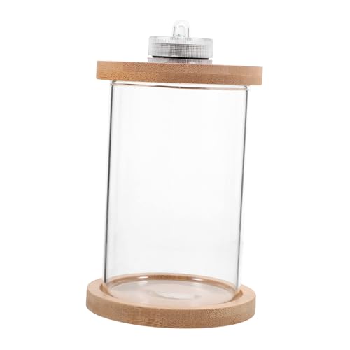 Glaseimer Aquarium Aquarien Für Kinder Led-Aquarienbeleuchtung Glasbehälter Terrarium Glasfischglas Aquariumschale Durchsichtiger Behälter Betta-Aquarium Kleines von minkissy