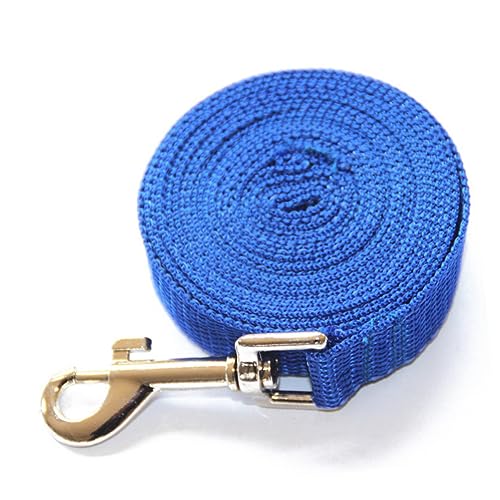 minkissy Für Haustiere Hochleistungsleine Leine Mit Schnellverschluss Welpenleine Hundeleine Hundetraining Führen Haustierleine Heimtiertraining Führen Seil Verlängern minkissy Für Haustiere Hochleistungsleine Leine Mit Schnellverschluss Welpenleine Hundeleine Hundetraining Führen Haustierleine Heimtiertraining Führen Seil Verlängern von minkissy