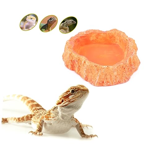 minkissy pet feeding bowl lizard water dish terrarium reptile tortoise dish Lizard feeding bowl resin reptile water food feeder reptile feeder cup large shallow bowl Climbing pet container von minkissy