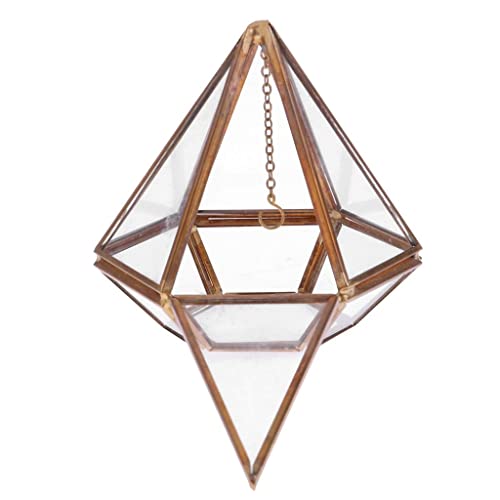 misppro Geometrisches Terrarium aus Glas, Sukkulenten, Tischdekoration von misppro