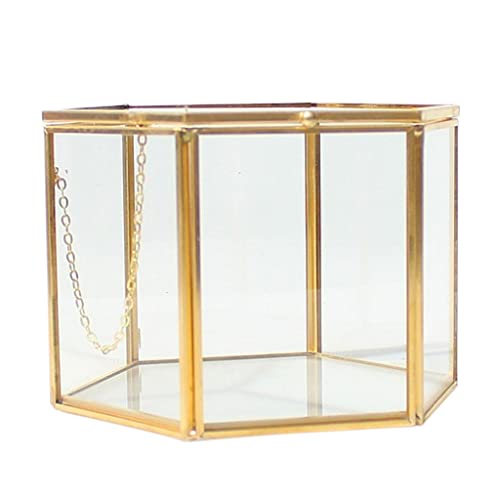misppro Gold Sechseckiges klares Glas Metall geometrisches Terrarium Sukkulente Desktop Pflanzer Teelichthalter Schmuckhalter für Hochzeit Verlobung – 14 x 14 x 9,5 cm von misppro