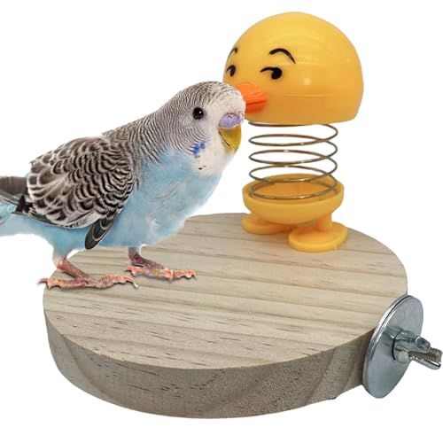 Spielzeug für Vogelkäfig, Vogelkäfig mit Federstab, Vogelspielzeug für Budgerigar, Cockatial, lustige Käfigdekoration für kleine Vögel und Haustiervögel in Vogelkäfig-Spielzeit Spielzeug für Vogelkäfig, Vogelkäfig mit Federstab, Vogelspielzeug für Budgerigar, Cockatial, lustige Käfigdekoration für kleine Vögel und Haustiervögel in Vogelkäfig-Spielzeit von mivceklw