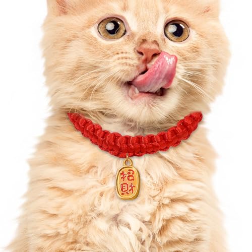 Year of the Snake Woven Pet Collar, Red Adjustable Cat Collar, Puppy Neck Scarf Decor, Stylish Woven Collar for Small Dogs, Adjustable Pet Accessory for Cats, Cute and Comfortable Neckwear Year of the Snake Woven Pet Collar, Red Adjustable Cat Collar, Puppy Neck Scarf Decor, Stylish Woven Collar for Small Dogs, Adjustable Pet Accessory for Cats, Cute and Comfortable Neckwear von mivceklw