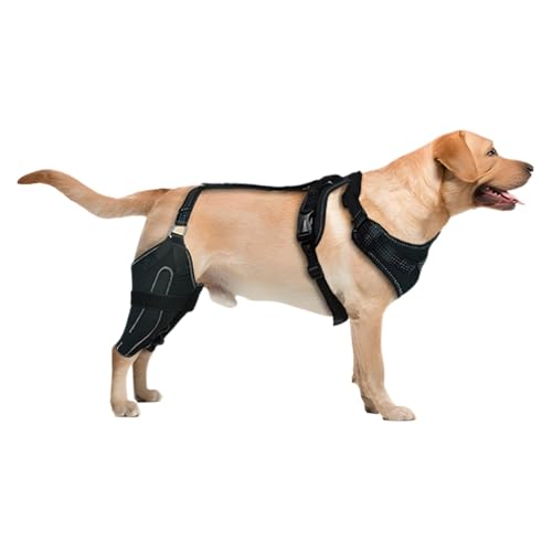 mivceklw Adjustable Dog Back Leg Brace, ACL Support for Dogs, Canine CCL Knee Wrap, Protective Support Brace for Medium and Large Dogs, Ideal for Post- Recovery, Injury Prevention and Leg Support mivceklw Adjustable Dog Back Leg Brace, ACL Support for Dogs, Canine CCL Knee Wrap, Protective Support Brace for Medium and Large Dogs, Ideal for Post- Recovery, Injury Prevention and Leg Support von mivceklw